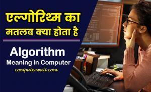 Algorithm Meaning in Hindi